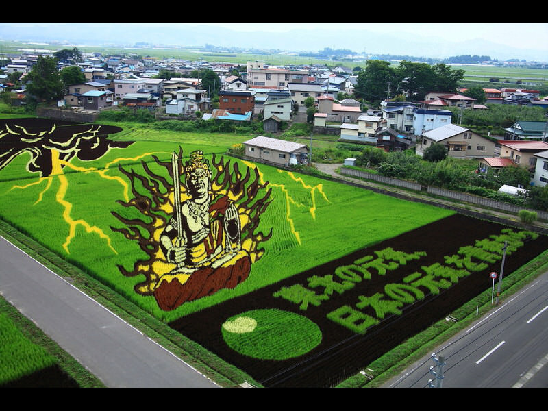 rice-paddy-art1