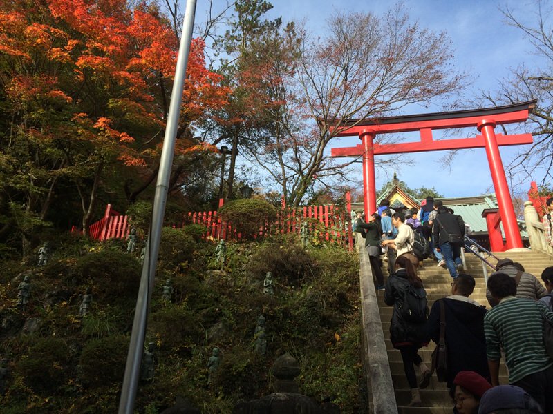 Takaosan011