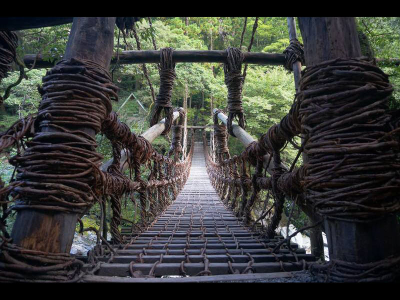 iya-kazura-bridge
