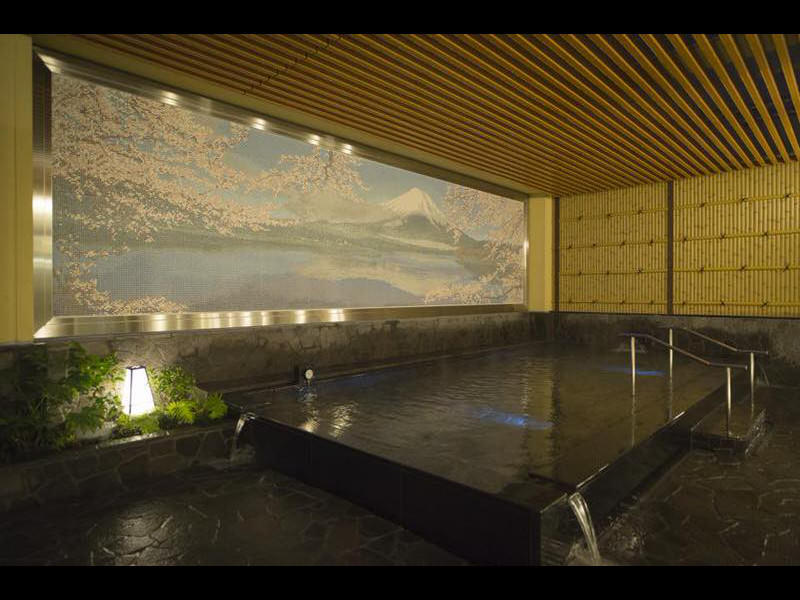 shinjuku-onsen-terumayu-thermaeyu