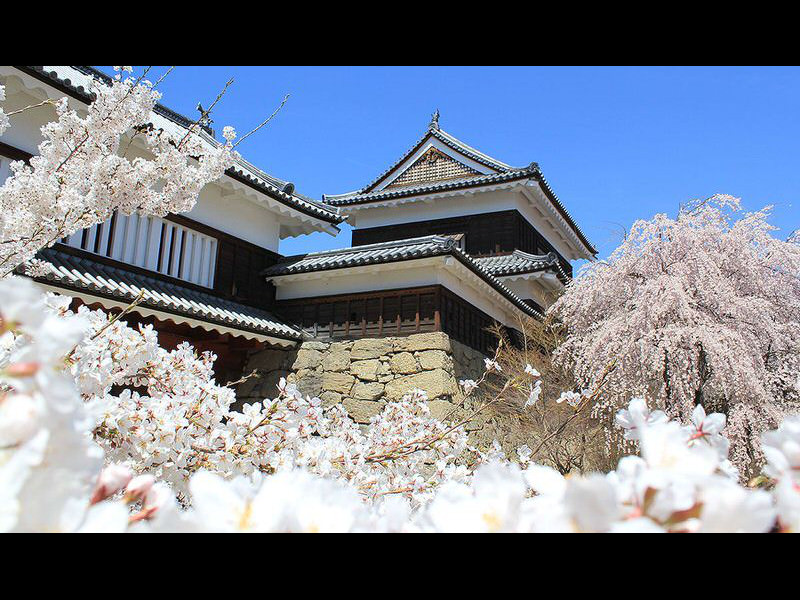 ueda-castle