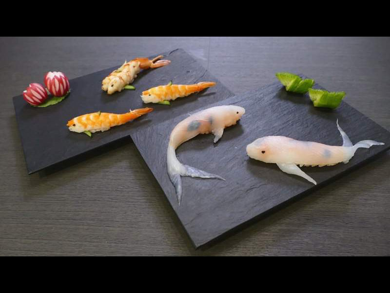 nishikigoi-sushi0
