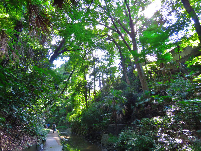 todoroki-valley-tokyo