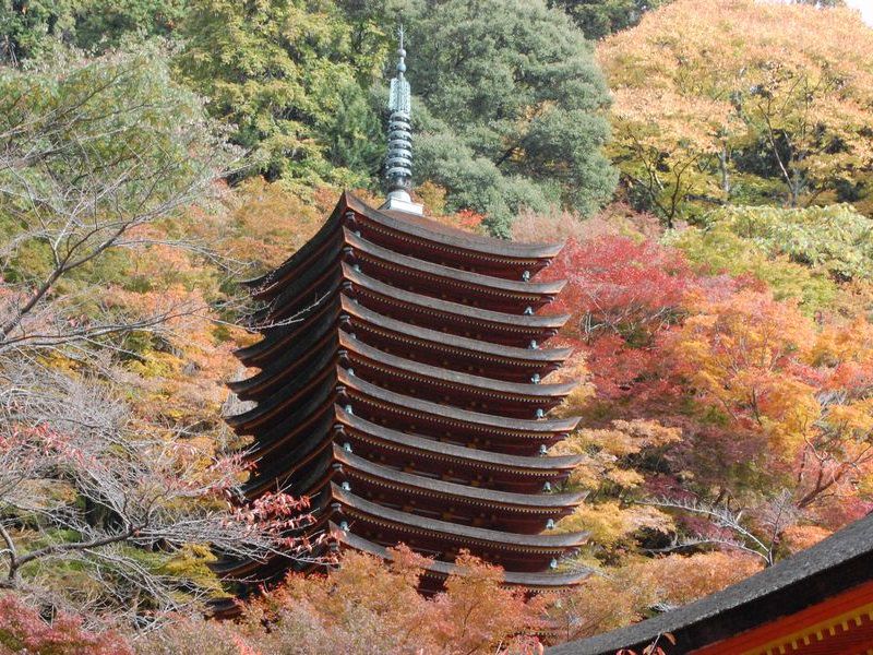 tanzan-shrine-nara