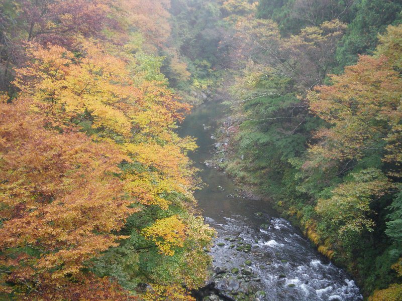 Autumn-leaves-Tokyo-Okutama