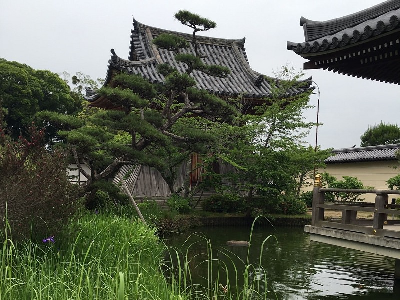 hokke-ji-temple-nara