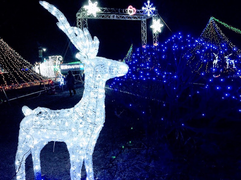 gunma-lake-haruna-illumination