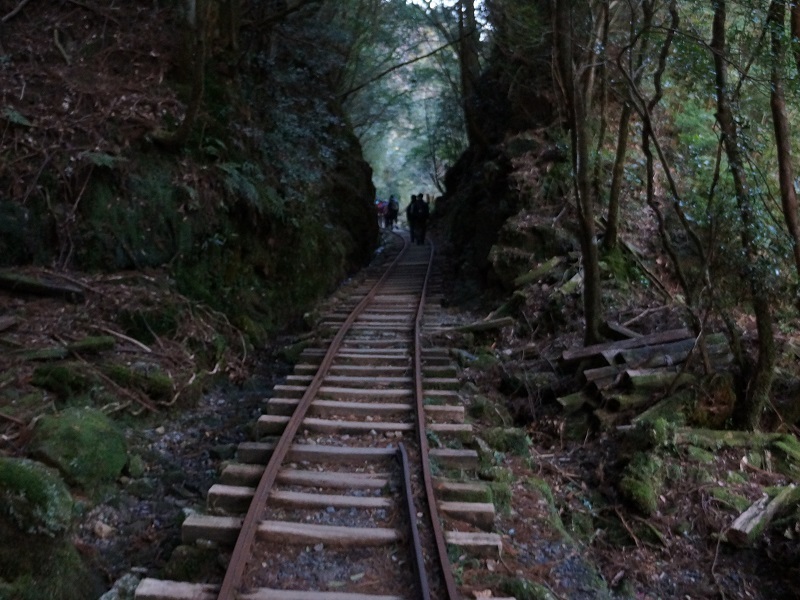 yakushima-island-kagoshima