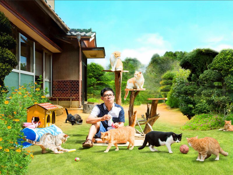 nekoatsume-movie