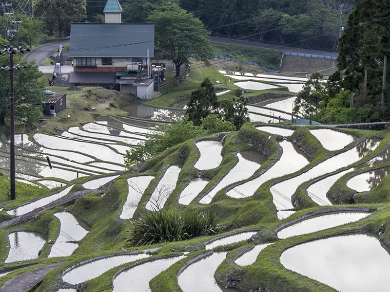 maruyama-senmaida-rice-fields